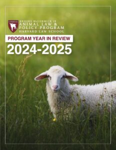 ALPP YIR 2024-25 Cover Image showing a sheep