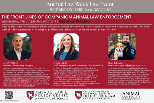 ALW 2026 Wednesday Event Poster