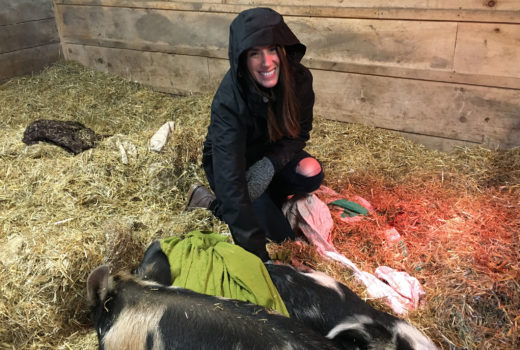 Animal protection lawyer Cailen LaBarge with pigs at Happily Ever Esther Farm Sanctuary