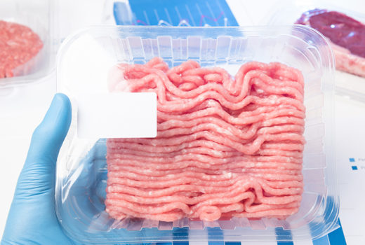 Plastic tray raw fresh ground meat in lab scientist hand. Laboratory meat quality analysis inspection check or cultured meat concept with a blank label.