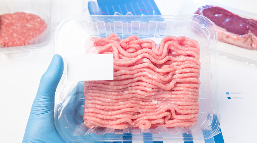 Plastic tray raw fresh ground meat in lab scientist hand. Laboratory meat quality analysis inspection check or cultured meat concept with a blank label.