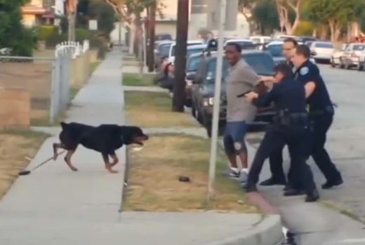 Police shoot at a dog named Max whose owner is being restrained
