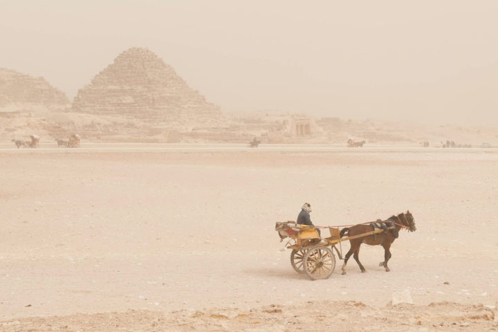Donkey pulling a cart in front of pyramids in Egypt