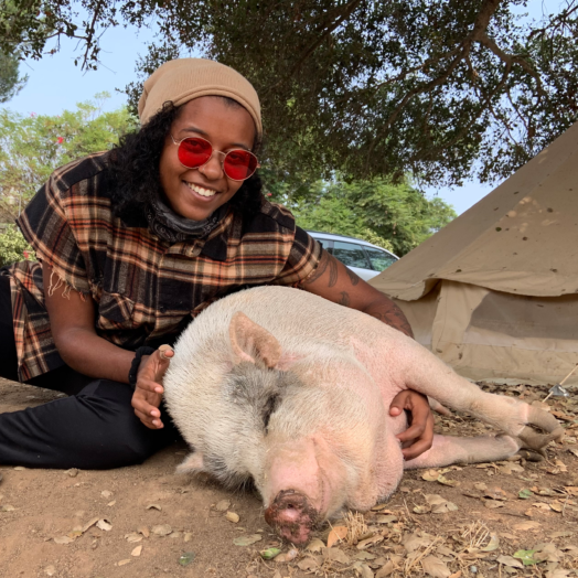 photo of Nyala cuddling pig