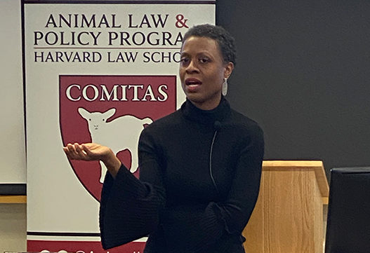 Tracye McQuirter, American public health nutritionist, vegan activist, author, and speaker, gives a lecture.