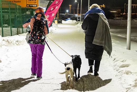 Two volunteers walking with rescue dogs near the border of Ukraine