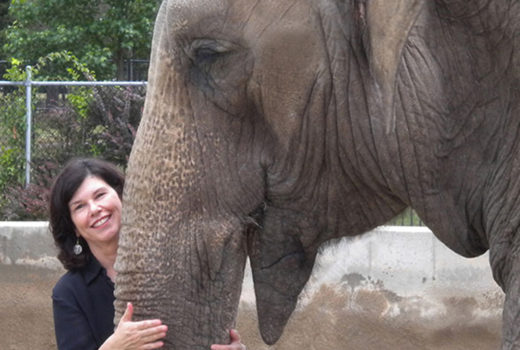 Vicki Croke stroking Emily the elephant's trunk.